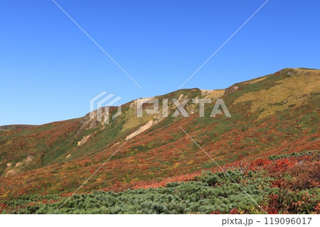 快晴の日の栗駒山紅葉 119096017