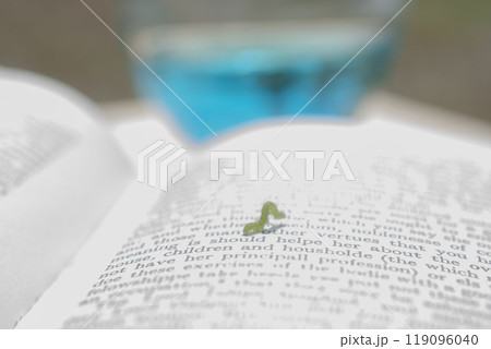 洋書の上を歩くキャタピラー　いもむし 119096040