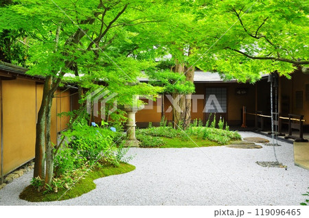 鎌倉市　一条恵観山荘中庭の新緑 119096465
