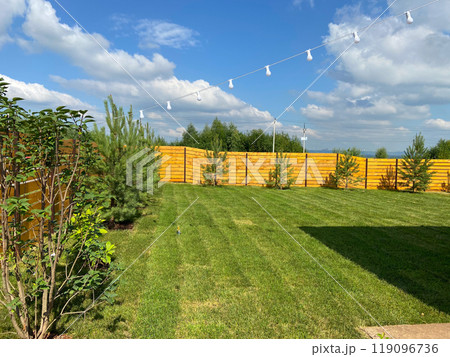Newly laid lawn in the back garden in spring Newly laid lawn in the back garden in spring 119096736