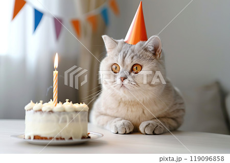 Birthday cat. Cat wearing party hats blowing out candles on birthday cake. happy anniversary concept. Tabby big feline looking at cake with candle sitting at the dining table at home. Happy birthday 119096858