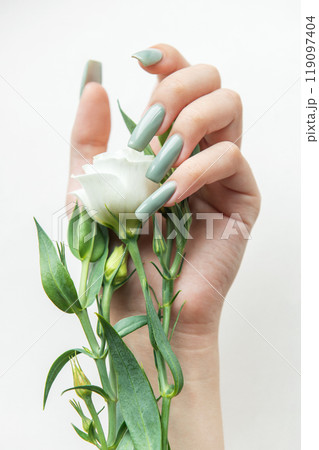 Elegant hand holding a white rose with green leaves and long manicured nails Elegant hand holding a white rose with green leaves and long manicured nails 119097404