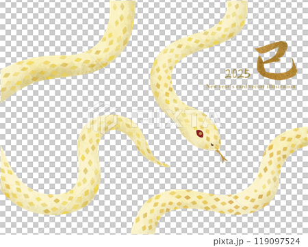 年賀状に使えるかわいい白ヘビのベクターイラスト 年賀状に使えるかわいい白ヘビのベクターイラスト 119097524