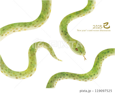 年賀状に使えるかわいい緑のヘビのベクターイラスト 年賀状に使えるかわいい緑のヘビのベクターイラスト 119097525