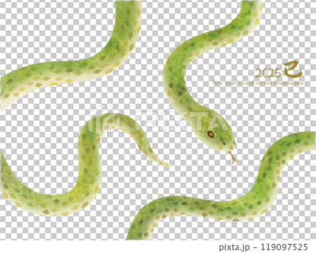 年賀状に使えるかわいい緑のヘビのベクターイラスト 年賀状に使えるかわいい緑のヘビのベクターイラスト 119097525