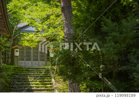 高野山 安養院 法明堂(和歌山県伊都郡高野町) 高野山 安養院 法明堂(和歌山県伊都郡高野町) 119098189