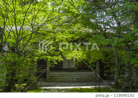 高野山　安養院　本堂（和歌山県伊都郡高野町） 119098192