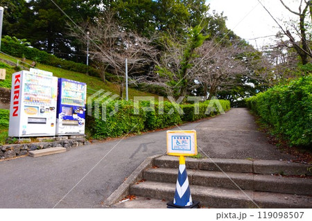 宝登山　ロープウェイ　寳登山神社　宝登山神社　 119098507