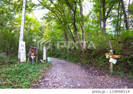 宝登山　登山道　入口　寳登山神社　宝登山神社 119098514