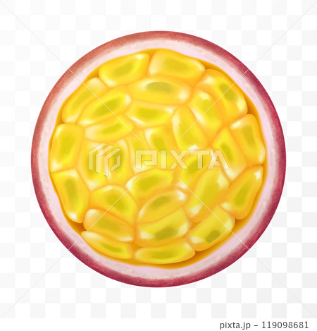 Fresh ripe passion fruit isolated on a transparent background. Passion fruit in section. Fruit with Seeds. Passiflora edulis for package design. Realistic 3d Vector illustration of tropical fruits. Fresh ripe passion fruit isolated on a transparent background. Passion fruit in section. Fruit with Seeds. Passiflora edulis for package design. Realistic 3d Vector illustration of tropical fruits. 119098681