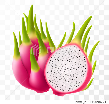 Dragon fruit. Fresh ripe Pitaya, cut pitahaya with white flesh and black seeds. Exotic dragon fruit isolated on transparent background. Summer tropical vitamin food. Realistic 3d vector illustration 119098771