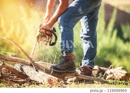 A man expertly operates a powerful chainsaw, meticulously cutting logs in a bright, sunlit outdoor environment 119098969