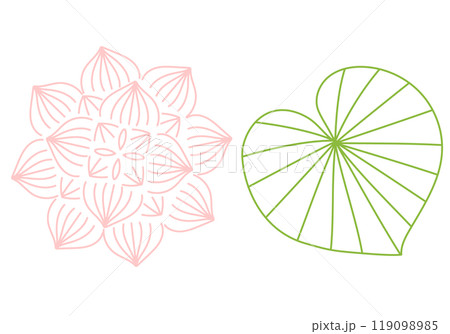 蓮の花と葉の線画 119098985