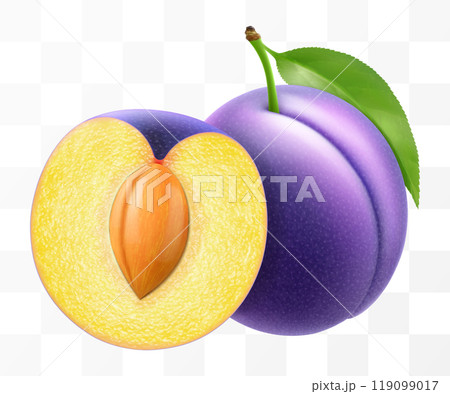 Whole plum and half plum with stone and leaf. Sweet purple plums isolated on transparent background. Oval ripe fruits, prunes, natural berries, fresh organic food. Realistic vector 3d illustration 119099017