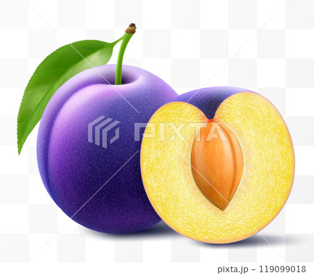 Whole plum and half plum with stone and leaf. Sweet purple plums isolated on transparent background. Oval ripe fruits, prunes, natural berries, fresh organic food. Realistic vector 3d illustration Whole plum and half plum with stone and leaf. Sweet purple plums isolated on transparent background. Oval ripe fruits, prunes, natural berries, fresh organic food. Realistic vector 3d illustration 119099018