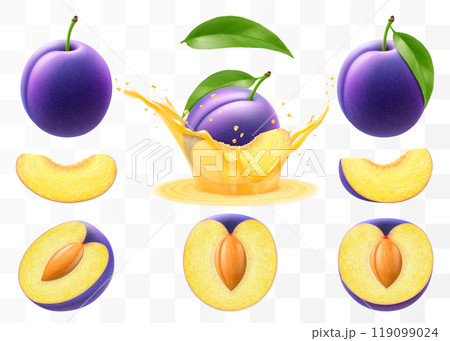 Whole, half and sliced of plum, purple plum falls into a splash of juice, Plum with stone isolated on transparent background. Set fruits, fresh organic food. Realistic vector 3d illustration 119099024