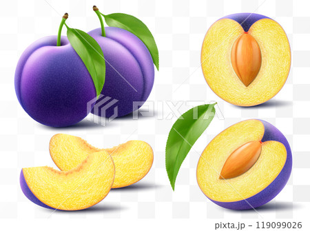 Whole, half and sliced of plum with leaf. Sweet plum with stone isolated on transparent background. Oval purple fruits, prunes, natural berries, fresh organic food. Realistic vector 3d illustration Whole, half and sliced of plum with leaf. Sweet plum with stone isolated on transparent background. Oval purple fruits, prunes, natural berries, fresh organic food. Realistic vector 3d illustration 119099026