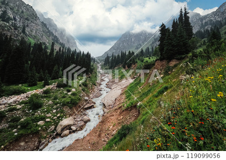 Almaty mountain summer landscape in mountain gorge Tuyuksu, Kazakhstan - nature of central asia, Scenic mountain river. 119099056