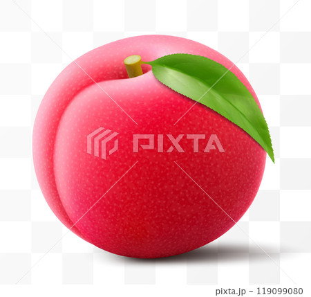 Juicy sweet plum isolated on transparent background. Round red fruits, prunes, red jam natural berries, dark grapes, date fruit, fresh organic food. Realistic vector 3d illustration 119099080