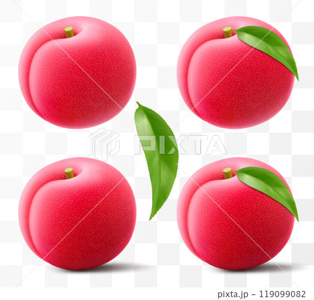 Juicy sweet plum isolated on transparent background. Round red fruits, prunes, red jam natural berries, dark grapes, date fruit, fresh organic food. Realistic vector 3d illustration 119099082