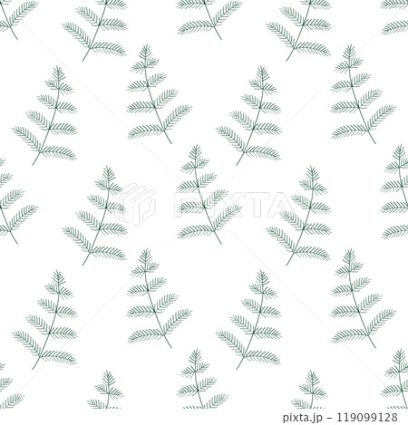 Seamless spruce pattern. Vector illustration of the background of a pine branch or a Christmas tree. 119099128