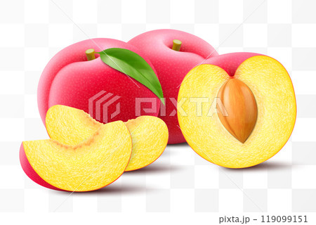 Whole, half and sliced of plum with leaf. Sweet juicy plum with stone isolated on transparent background. Set of red fruits or berries, prunes, fresh organic food. Realistic vector 3d illustration 119099151