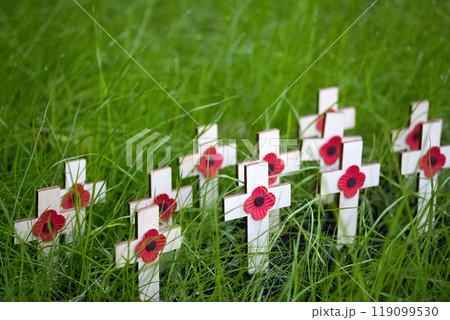 Remembrance day. White crosses with red poppies surrounded by vibrant green grass Remembrance day. White crosses with red poppies surrounded by vibrant green grass 119099530