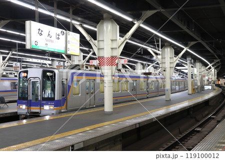 ［NK］南海高野線2000系電車（快速急行：なんば⇔橋本-極楽寺） 119100012