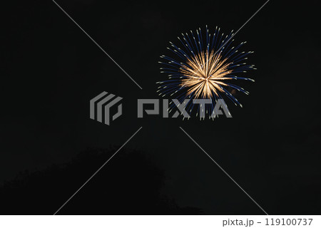 天竜川河川敷から見た浜松市の中野町煙火大会(静岡県) 天竜川河川敷から見た浜松市の中野町煙火大会(静岡県) 119100737