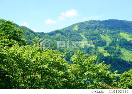 湯沢高原のロープウェーに乗った先、アルプの里から見えた綺麗な景色 湯沢高原のロープウェーに乗った先、アルプの里から見えた綺麗な景色 119102152