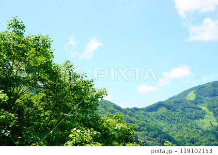 湯沢高原のロープウェーに乗った先、アルプの里から見えた綺麗な景色 119102153