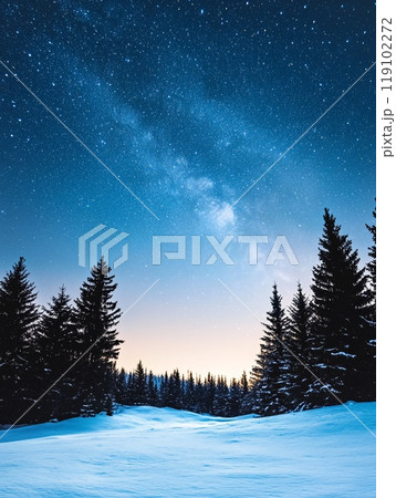 Starry Winter Night Sky Over Snow-Covered Pines in Serene Landscape 119102272