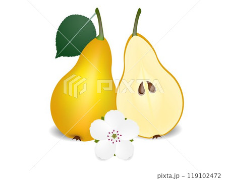 Whole pear with leaves, half with seeds and flower, isolated on white. Whole pear with leaves, half with seeds and flower, isolated on white. 119102472