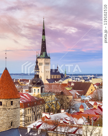 エストニア・タリン歴史地区の夕景 / Tallinn, Estonia 119102510