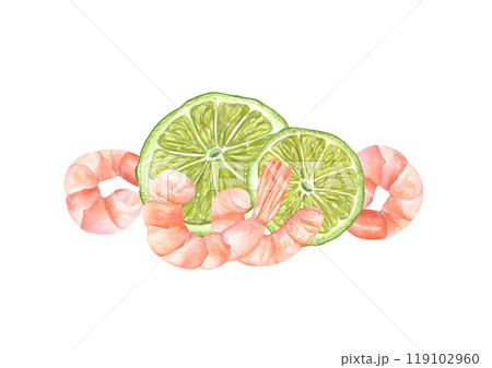 Tasty fresh peeled prawn with lime slices watercolor illustration. Healthy boiled unshelled tiger shrimps served citrus fruit composition for menu decor, recipe design. Seafood top view 119102960