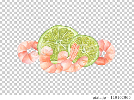 Tasty fresh peeled prawn with lime slices watercolor illustration. Healthy boiled unshelled tiger shrimps served citrus fruit composition for menu decor, recipe design. Seafood top view 119102960