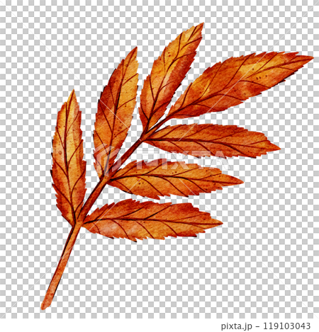 Watercolor illustration of an autumn branch with vibrant orange leaves. The delicate details and warm colors highlight the seasonal beauty of fall, making it ideal for autumn-inspired design Watercolor illustration of an autumn branch with vibrant orange leaves. The delicate details and warm colors highlight the seasonal beauty of fall, making it ideal for autumn-inspired design 119103043