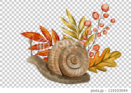 Watercolor illustration of a snail with a spiral shell, surrounded by autumn leaves and berries. The earthy colors and detailed design give it a seasonal, nature-inspired, artistic touch. Watercolor illustration of a snail with a spiral shell, surrounded by autumn leaves and berries. The earthy colors and detailed design give it a seasonal, nature-inspired, artistic touch. 119103044