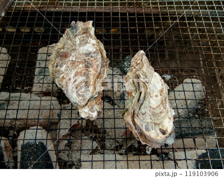 都会のカキ小屋 119103906