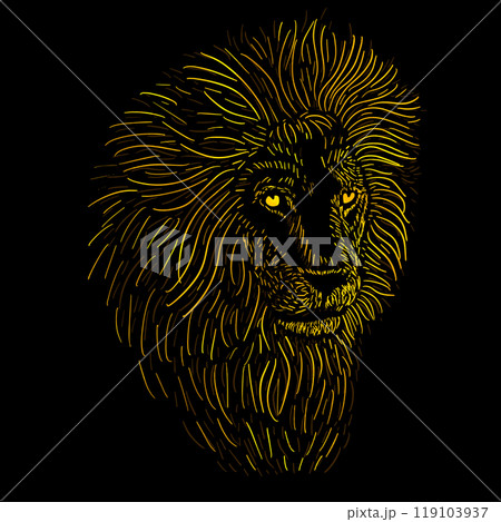 Lion white on black background. Graphic design on a t-shirt. hand drawing. Not AI, Vector illustration. 119103937