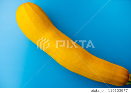 Vegetable from the garden. Yellow zucchini on the blue background. 119103977