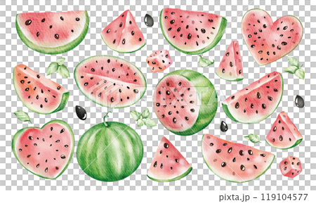 Watercolor set illustrations sliced Watermelon, mint leaves clip art isolated background. Hand drawn of bright pieces and slices melon of popsicles, cupcake, skewer for design, cards, print, menu. Watercolor set illustrations sliced Watermelon, mint leaves clip art isolated background. Hand drawn of bright pieces and slices melon of popsicles, cupcake, skewer for design, cards, print, menu. 119104577