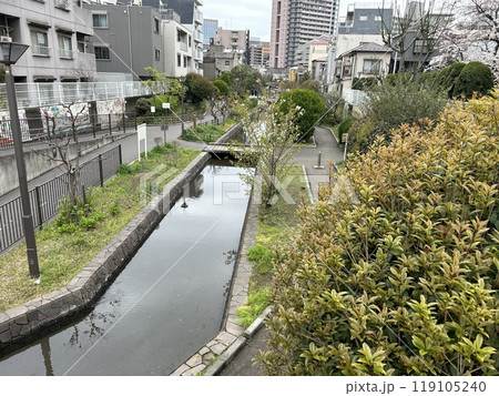 東京都江東区の橋、雀橋から見た古石場川の風景です。 東京都江東区の橋、雀橋から見た古石場川の風景です。 119105240