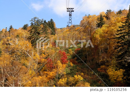 日本一早い紅葉 大雪山旭岳 北海道 日本一早い紅葉 大雪山旭岳 北海道 119105256