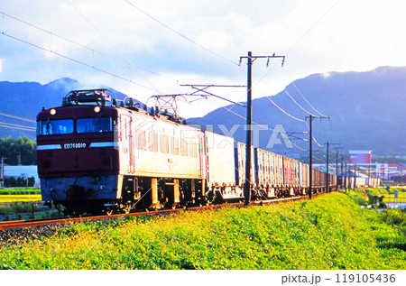 鹿児島本線を走る貨物列車 119105436
