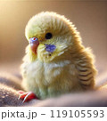 セキセイインコのひな 119105593
