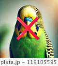 セキセイインコ 119105595