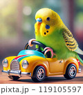 車に乗るセキセイインコ 119105597