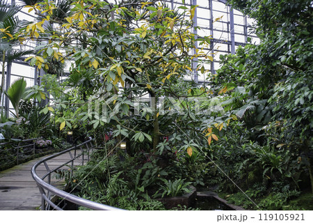 咲くやこの花館／大阪府大阪市鶴見区緑地公園2 119105921
