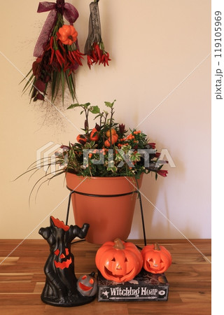 ハロウィンイメージの寄せ植え 119105969